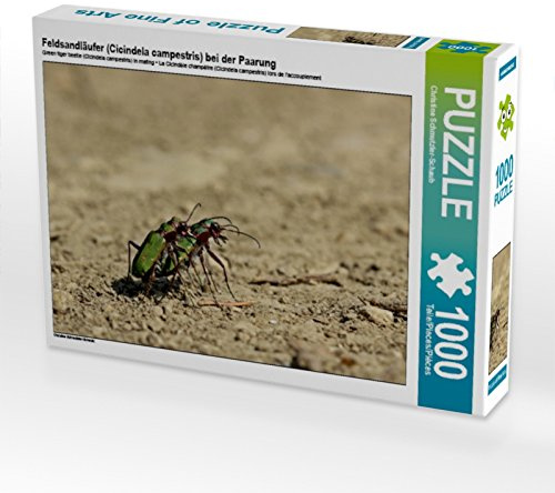 CALVENDO Puzzle Feldsandläufer (Cicindela campestris) bei der Paarung | 1000 Teile Lege-Größe 64 x 48 cm Foto-Puzzle für glückliche Stunden