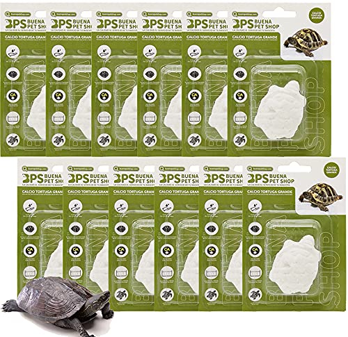 BPS 12 pièces Bloc de Calcium pour Tortues Grand complément de Base Naturel BPS-4127 * 12