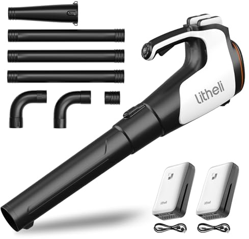 Litheli Soffiatore a Batteria Senza Fili con Kit Pulizia Grondaie, Motore Brushless, Turbocompressore, Velocità 180 km/h, Flusso 973 m³/h, Montaggio Senza Attrezzi, Prolunga Inclusa
