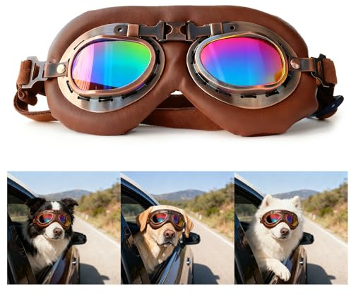 BaiMoure Retro Hundebrille für mittlere Hunde, Winddicht & Verstellbar, Hundeschutzbrille klappbar für Motorrad, Auto & Outdoor - **Bunt**