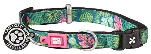 Max & Molly Gotcha! Hundehalsband Halsband Hund mit Smart ID, gepolstertes Neopren Halsband mit Design für sehr kleine Hunde, wasserdicht, bequem, verstellbar, Tropical, XS