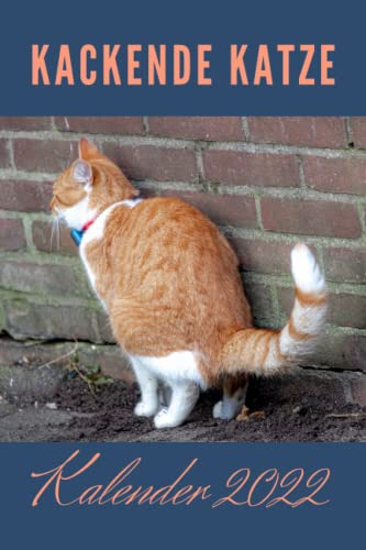 Kackende Katzen Kalender 2022: Das lustige Katzen Kalender | Geschenk für Tierliebhaber und Katzenbesitzer