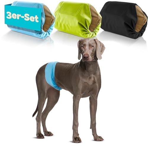 HUND IST KÖNIG Hundewindeln für Rüden [3 STK] Saugstarke Hundewindeln Rüde | Bequeme Hunde Windeln bei Inkontinenz Hund - Umweltfreundliche Rüdenwindel waschbar | Hundewindel leicht zu reinigen
