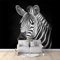 Papier Peint Tête De Zèbre Noir Et Blanc Animal, 350 x 256 cm, Poster Geant Mural Personnalisé, pour Salon Chambre Chambre restaurant Décoration noir Murale