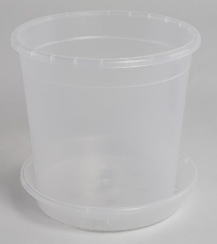 Geli Orchideentopf 17 cm mit passendem Untersetzer Standard Transparent Klar