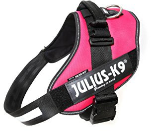 Julius-K9, IDC Powergeschirr, Größe: 2XL / 3, Dunkelpink