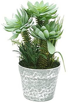 künstlicher Baum Künstliche Sukkulenten Tropischer Baum Fake Baum Bonsai Mini Agave Topf for Zuhause Desktop Regal Veranda Dekor künstliche Pflanzen für den Innenbereich(E)