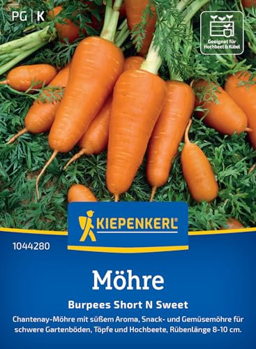 Kiepenkerl Möhrensamen Short ‘N Sweet 1044280 - Gemüsesamen für Chantenay-Möhren mit einer Rübenlänge von 8 bis 10 cm und einem Inhalt für 8 bis 10 lfd. Meter - Saatgut