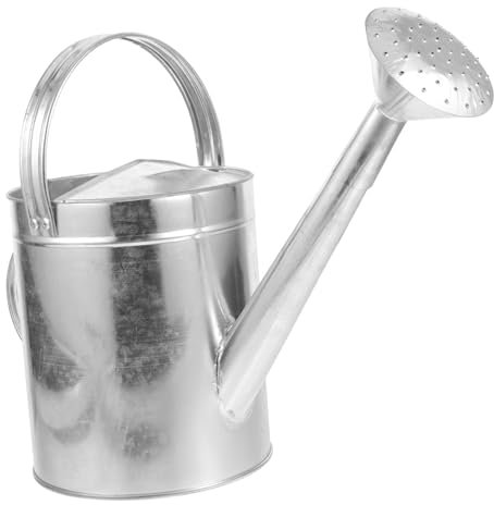 HEMOTON Arrosoir pour Plantes Intérieur avec Bec Verseur Et Poignée Ergonomique pour Arroser Jardin Ou Maison