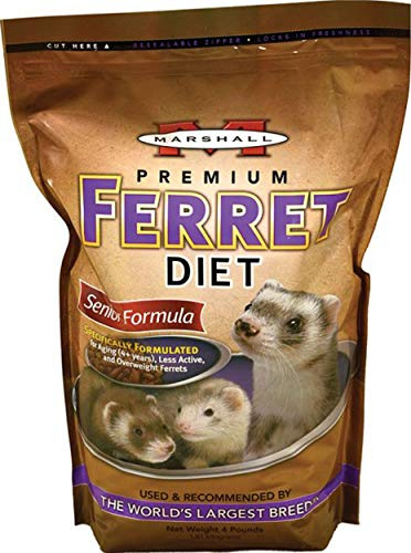 Senior Ferret Food Diet