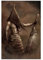 LINYUYI Game Silent Hill 48 Leinwand-Poster, Schlafzimmer, Dekoration, Sport, Landschaft, Büro, Raumdekoration, Geschenkrahmen: 30 x 45 cm