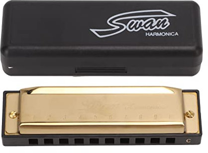 C Tasten Mundharmonika, 10 Loch 20 Tönen Diatonic Gold Harmonica Verchromte Kupferplatte für Professionelle Spieler, Anfänger, Studenten, Erwachsene als Geschenk