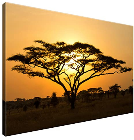 Estika Leinwand bilder - Savanne, Akazie, Sonnenuntergang - 90x60 cm, 1 teilige kunstdruck - Wandbilder wohnzimmer, schlafzimmer, Moderne wanddeko, Bild auf leinwand - Afrika bilder - 1249A_1L