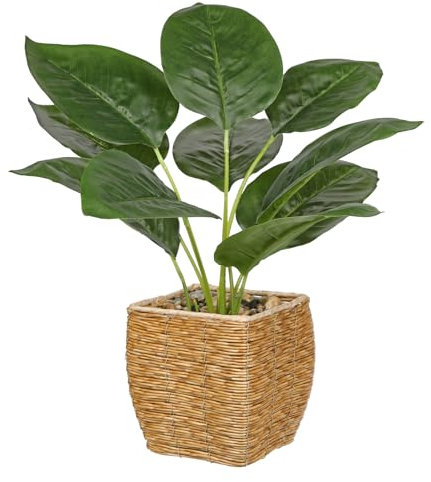 45CM Artificial Rubber Plant Dieffenbachia in Woven Basket, Faux Indoor Decorative Tropical Plant, Aesthetic Room Décor for Bedroom Office Home Desk Decoration