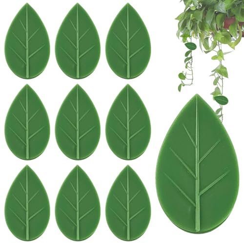 Pflanzen-Kletterwand-Clips,Kletterpflanzen-Clips - 10 Stück Wandhalterung für Kletterpflanzen,Zimmerpflanzen-Befestigungsklammern, Rankenhalter, Geldpflanzenklammern, Pflanzenwandklammern für Kletterp
