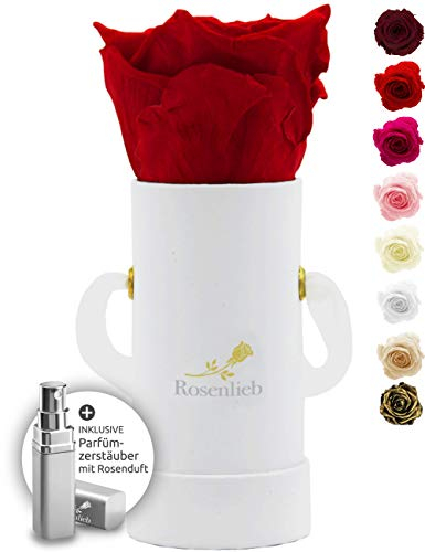 Rosenlieb Rosenbox Weiß mit Infinity Rosen (bis 3 Jahre haltbar) | Echte konservierte Rosen | Flowerbox inkl. Grußkarte Frau Freundin Geburtstag Muttertag (Rot)