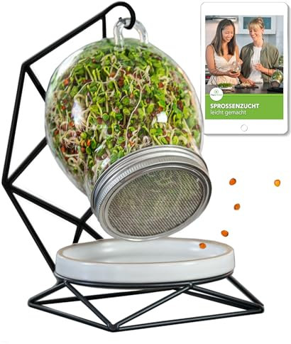 my sprouzz Sprossenglas Keimglas Set | Sprossenglas mit Kressesieb & Samen | Keimglas für Sprossen | Keimgerät für Indoor-Gebrauch