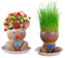 Blumenkopf Graskopf Puppen Pflanze, 2 Blumenkopf Graskopf Bonsai Mit Tablett Für Garten Zuhause Dekoration, Züchten Sie Ihre Eigene Pflanze, Lustiges Geschenk Für Kinder Herren Damen Jungen Mädchen