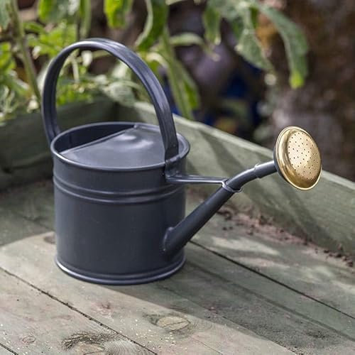 CKB LTD - Regadera de metal para exteriores, 1,5 L, acero con recubrimiento en polvo negro con rosa de latón, para jardines grandes y pequeños, flores y plantas, resistente, antioxidante (1,5 litros)