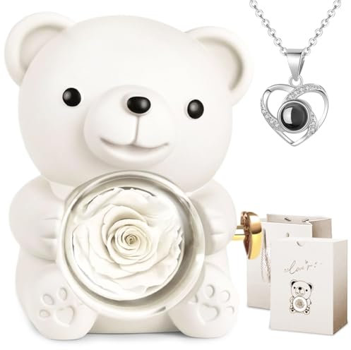 Ours Rose Éternelle avec Collier « I Love You » - Boîte Cadeau pour Femme - Fleurs préservées - Cadeau d'anniversaire pour Femme, Petite Amie, mère, Femme, Noël (Blanc)