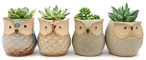 Set of 4 Mini Ceramic Cartoon Owl Pattern Succulent Plant Pot Flower Pot Container Planter Cactus Plant Pot for Garden
