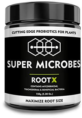 RootX - Premium Bewurzelungspulver für Stecklinge von Grünpflanzen | Speziell formuliert für blühende und knospende Pflanzen | Enthält Mykorrhizapilze, Trichoderma und andere nützliche Bakterien 150GR