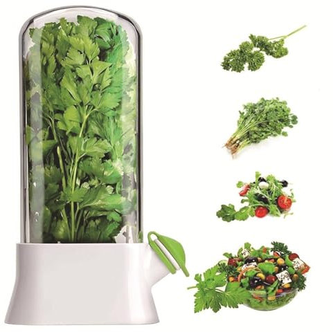 Boîte de conservation d'herbes fraîches pour réfrigérateur, conservation des herbes fraîches pour conserver les herbes fraîches, bouteilles de conservation pour coriandre/menthe, conteneurs pour