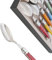 Coffret de 6 Cuillères à café Laguiole coloris assortis