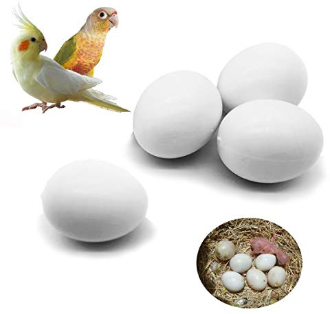 FOIBURELY 4 Pcs Solid Parrot Plastic Eggs Hatching Eggs Green Cheek, Lorikeet&Ringneck Dove, Quaker, Cockatiel. Trick The Birds to Stop Laying Eggs, Fake Eggs