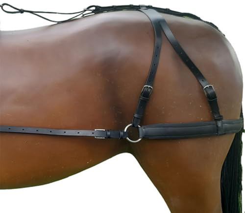 Brama West Hintergeschirr Pferd | für Einspänner- und Zweispännergeschirre | aus hochwertigem Leder (Schwarz, Cob)