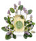 Durance Eau de Toilette EDT Spray Oriental Patchouli - Colonia con fragancia a pachuli (100 ml)
