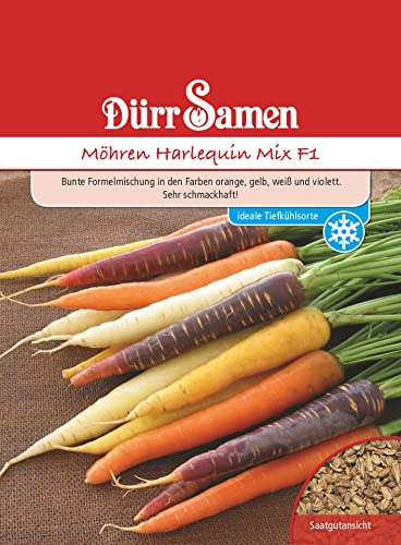 Bunte Möhren Samen Karotten Harlequin Mix F1 Gemüsesamen ca 500 Korn Garten Hochbeet Saatgut Gemüse Möhrensamen Karottensamen Möhre Dürr Samen