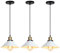 iDEGU 3 Piezas Lámparas Colgantes Vintage, 22CM Lámparas de Techo Retro de Metal Estilo Edison Industrial E27 Iluminación Luz de Techo Colgante para Comedor Cocina Salón Bar Restaurante (3x Blanco)