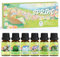 SoulOrigin Frühling Ätherisches Öle Set, Duftöl Set für Öl Diffuser, Duftöle für Seifenkerze Herstellung 6x10ml Freesia, frisches Gras schneiden, Jasmin, Boden nach Regen und frische grüne Weide