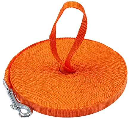 Downtown Pet Supply Hundeleine, für Gehorsamkeitstraining, Agility-Leine, 4,5 m, Orange