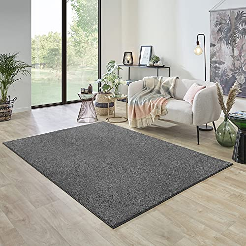 Carpet Studio Ohio Teppich Wohnzimmer 160x230cm, Weicher Kurzflor Teppich, Wohnzimmer, Esszimmer & Schlaffzimmer, Pflegeleicht, Geruchsneutral - Dunkelgrau