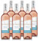 Roche Mazet – Merlot – Vin Rosé – IGP Pays d’Oc - Terra Vitis - Lot de 6 bouteilles x 75 cl
