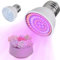 Mchodare E27 Plant Growing Light Bulb,Grow Light for Indoor Plants,1pcs 72 LEDs Grow Light Plant Flower Hydroponic Bulb for Seedlings Succulents Hydroponic 36w Ac 220v