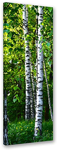 Feeby Leinwandbild Birken Bild Kunstdruck Natur Grün 50x150 cm
