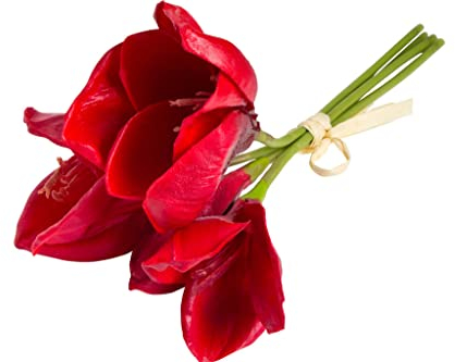 Botanic-Haus künstliches Amaryllis Bündel (weihnachtliche Blume) mit 3 Blüten und 1 Knospe Farbe: rot