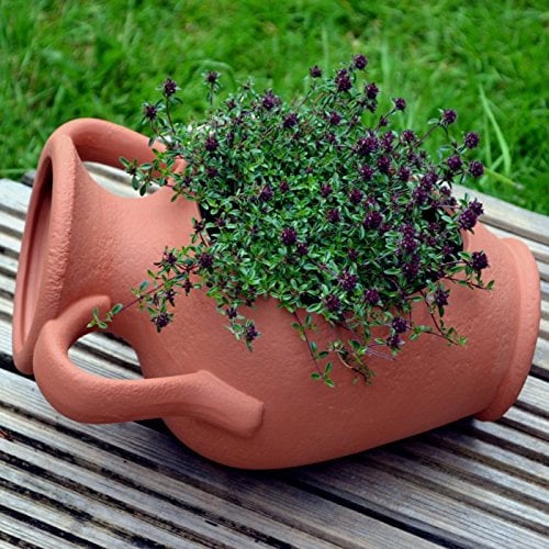 Weston Mill Pottery Fioriera da giardino,anfora di terracotta con apertura laterale