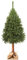 KADAX künstlicher Weihnachtsbaum 180 cm, Fichte Tannenbaum mit Naturstamm und schneebedeckten Spitzen, Christbaum aus PVC mit stabilem Ständer, Weihnachtsdeko (Carla 180cm)