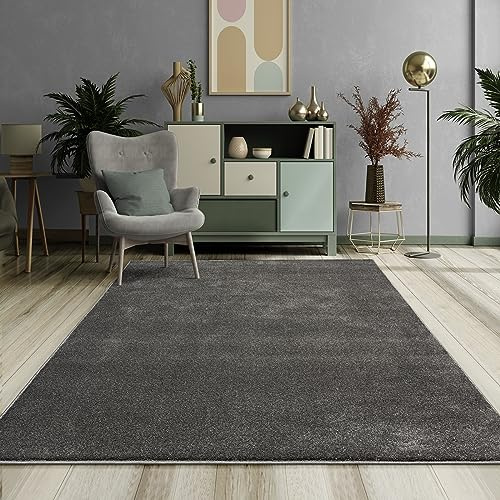 Mia's Teppiche Emely Moderner Weicher Kurzflor (17 mm) Wohnzimmer Teppich - Anthrazit - 200 cm Rund