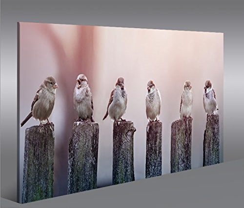 islandburner Bild Bilder auf Leinwand Birds Vögel Spatz auf Holzsteg 1p XXL Poster Leinwandbild Wandbild Dekoartikel Wohnzimmer Marke
