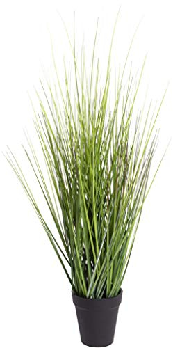 Nova-Nature Van Manen Kunstgras im Topf 61cm (Grasbusch, Dekopflanze, Dekoblume, Kunstpflanze) 081426, Grün, ca. 60 cm