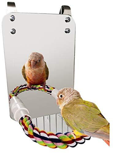 Haokaini Vogelspiegel Spielzeug mit Seil Barsch Papagei Biss Spielzeug mit Großem Spiegel Papageienklaue Vogelkäfig Barsche Spiegel Kauspielzeug für Wellensittich Sittich Nymphensittiche