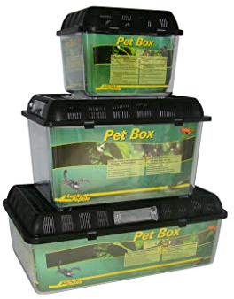 Lucky Reptile Pet Box, Größe:Groß