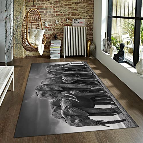 BYJING Art Graues Tier Bereich Teppiche Lustiger afrikanischer Elefant Rutschfester Gummirückenteppich Extra Größe Läufer Teppich für Safari Kinderzimmer Themenzimmer Dekor 180x270cm