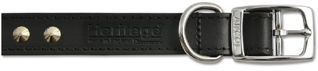 Ancol Black Studded Leather Dog Collar for Dogs and Puppies - High Quality Bridle Leather Pet Training Collar with Chrome Studs - Size 26-31cm Size 2