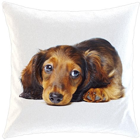 Kissen/weiches Kuschelkissen mit Füllung 40x40cm - Motiv: Dackel/Teckel - Langhaardackel liegend | 018